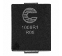 FP1006R1-R08-R image.