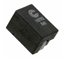 FP1107R2-R40-R image.